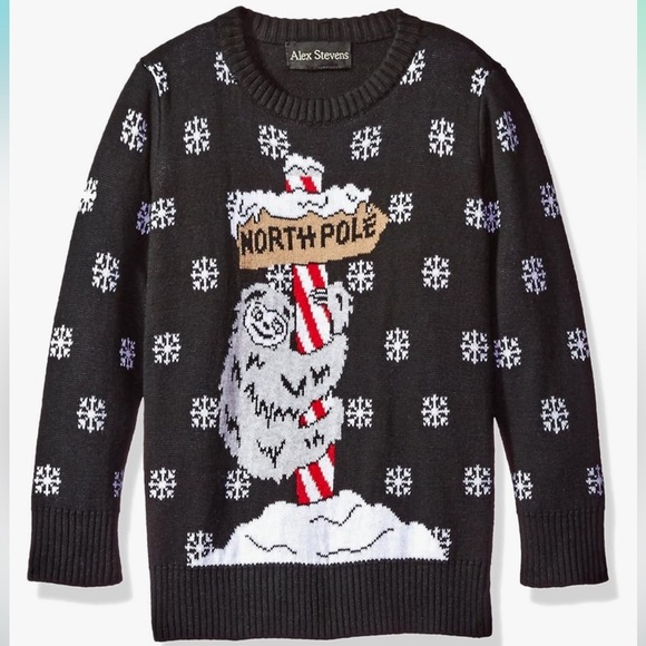 🖤 Alex Stevens Boys' Sloth Pole Sweater - Picture 1 of 2